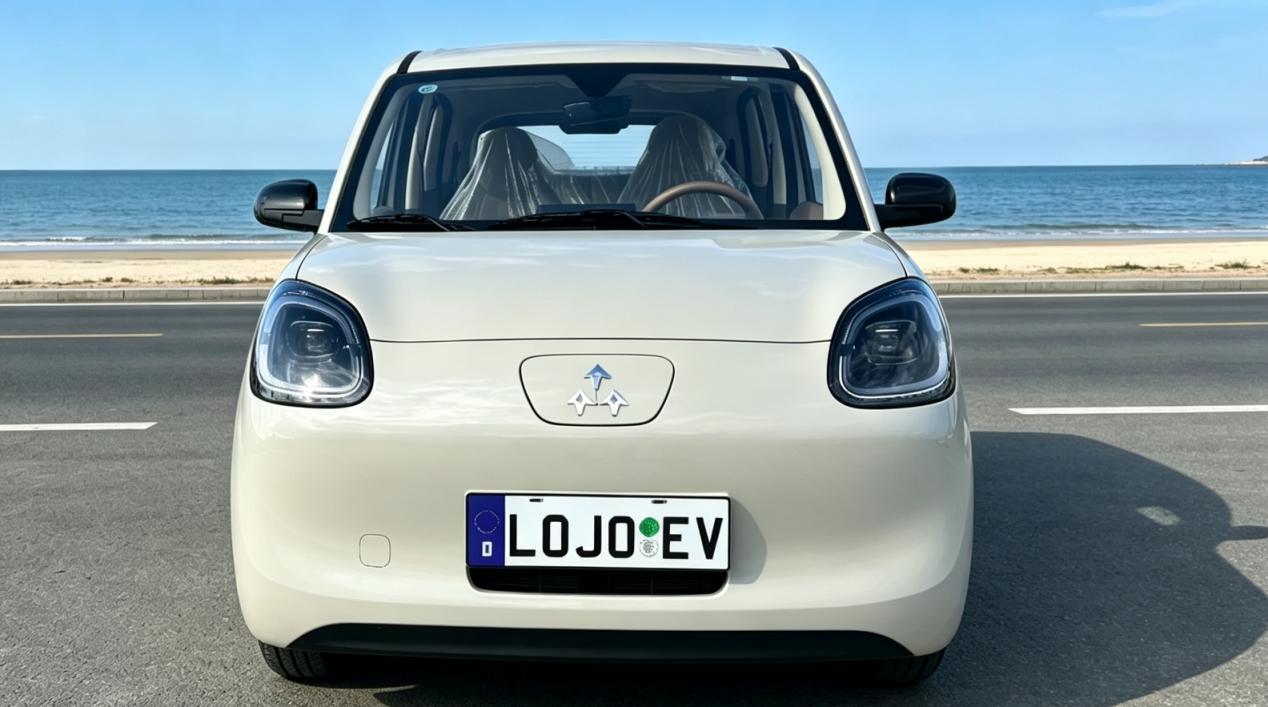 W4 electric vehicle