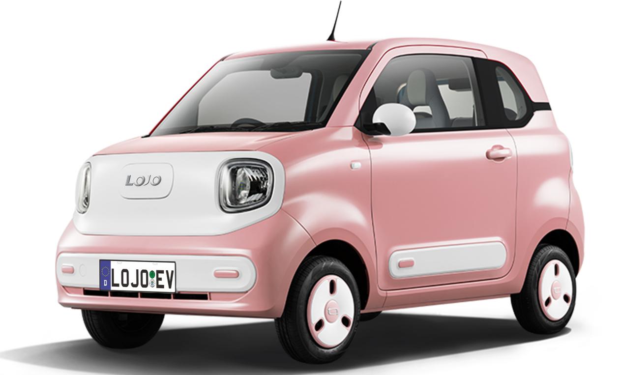 H300 electric vehicle